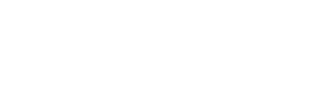 National Powersports Auctions Logo